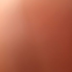 Meet your Posher, Vicky